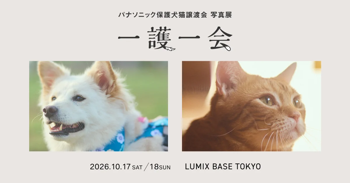 かわうそ🦦 (@_kawauso_chan) / X