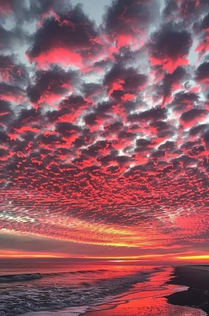 Oi_On_Ya's tweet photo. GN ✨
Fort Myers Beach in Florida USA
Thank you everyone. ⭐️ https://t.co/egPlso2X3k