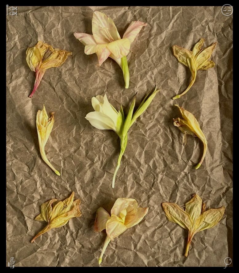 Bats_04's tweet photo. 🍀Don't be afraid of changes They are for the betterForgiving yourself small slips frees mental energy to refocus on growth instead of drowning in endless self-blame and heavy lingering regret. https://t.co/pD05zIA5aA