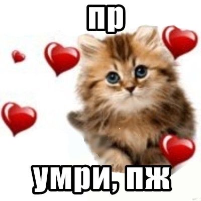 lstillhate_'s tweet photo. чд меня лпэ люто предала @MariBee81 https://t.co/V3xuVcDwrg