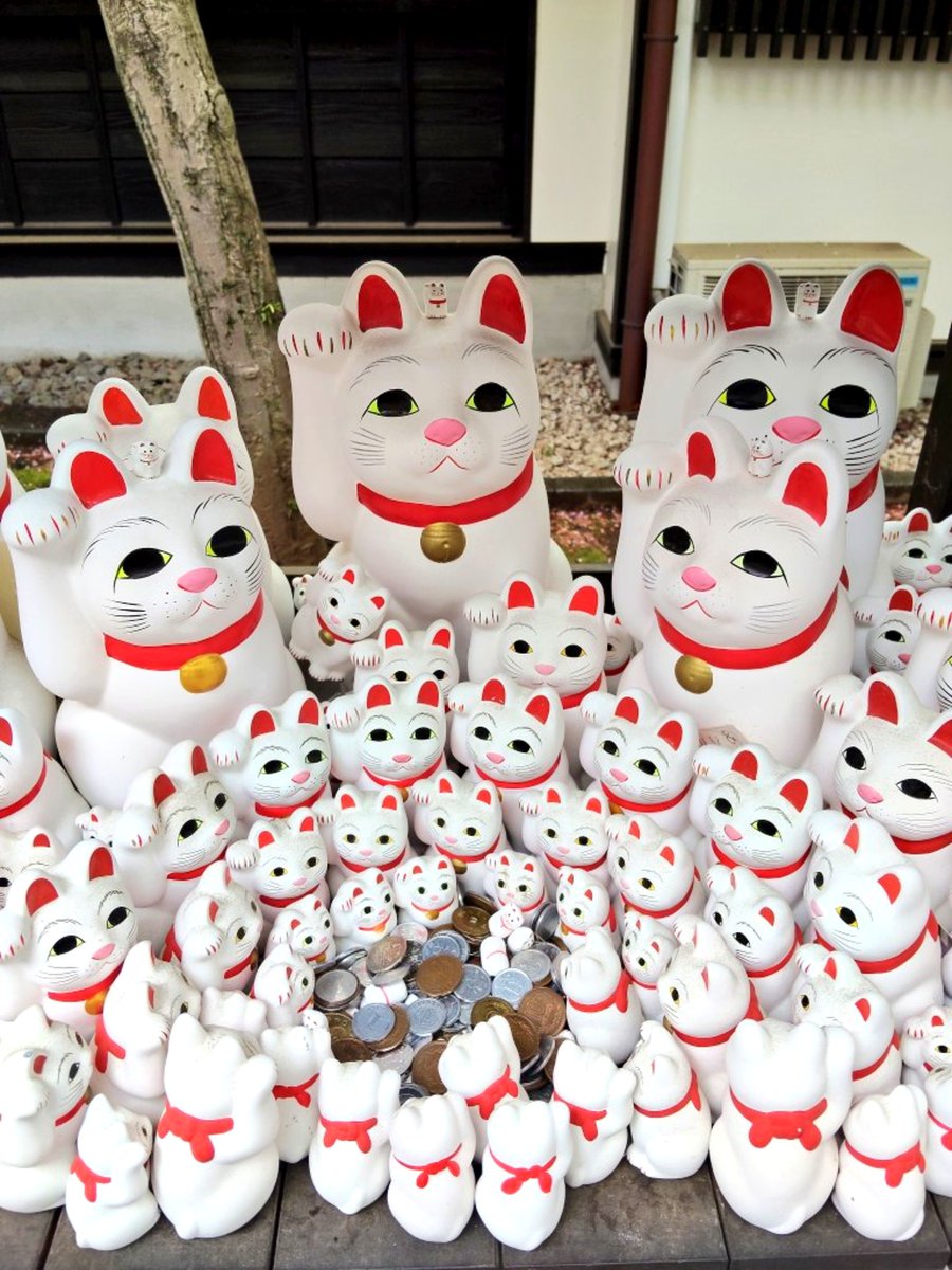 kotsu2_work's tweet photo. #招き猫の日
豪徳寺の招き猫さまたち。
今年の3月に小雨の中、参拝。
半円に並んでるの、めっちゃ好き。
招き猫車両にも乗れてラッキーだった。もう半年も前かー。早いな。 https://t.co/1UwylVjojG