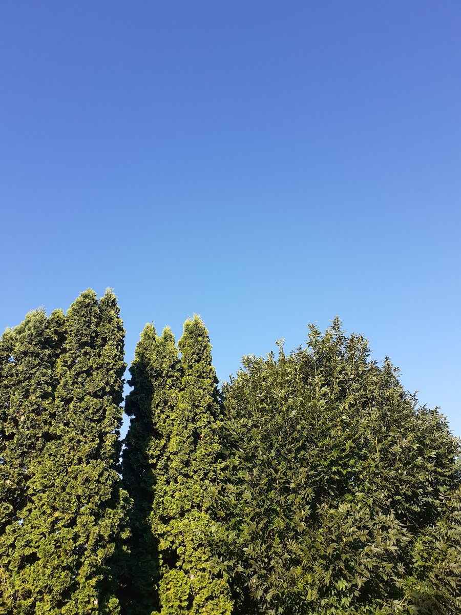 IstvanToth87137's tweet photo. 🌿🌳 𝓗𝓪𝓹𝓹𝔂 𝓣𝓾𝓮𝓼𝓭𝓪𝔂 🌳🌿☕️🌿🌞🌿🌳🌿 https://t.co/zvLtVte6H8