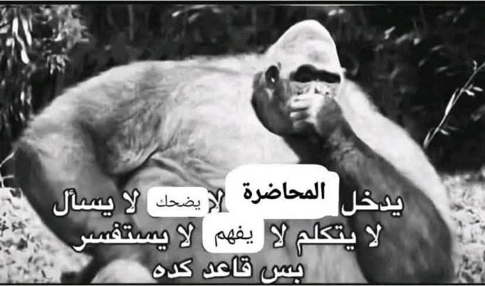 9lIYF's tweet photo. والله مره يشبهني https://t.co/BPD1CP3xgh