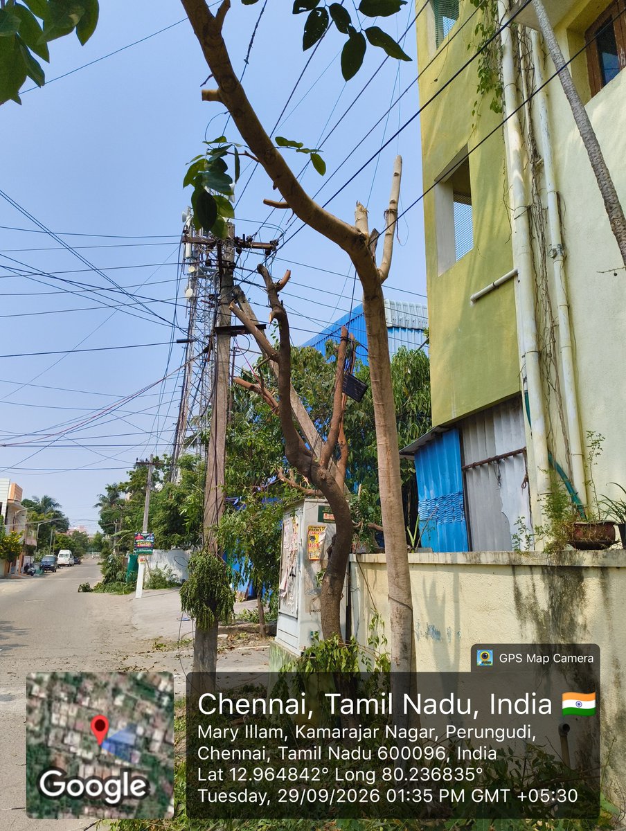 SajeevChennai's tweet photo. Trees brutally chopped w/out permission from @chennaicorp by @TANGEDCO_Offcl @tangedco_sechnn. OH cable not removed in spite of UG cable laid and pillar box erected a decade ago. @sameerangs penalize the official incharge @CTR_Nirmalkumar @Chief_Secy_TN @tnaorwa https://t.co/SWSrQHfyyw
