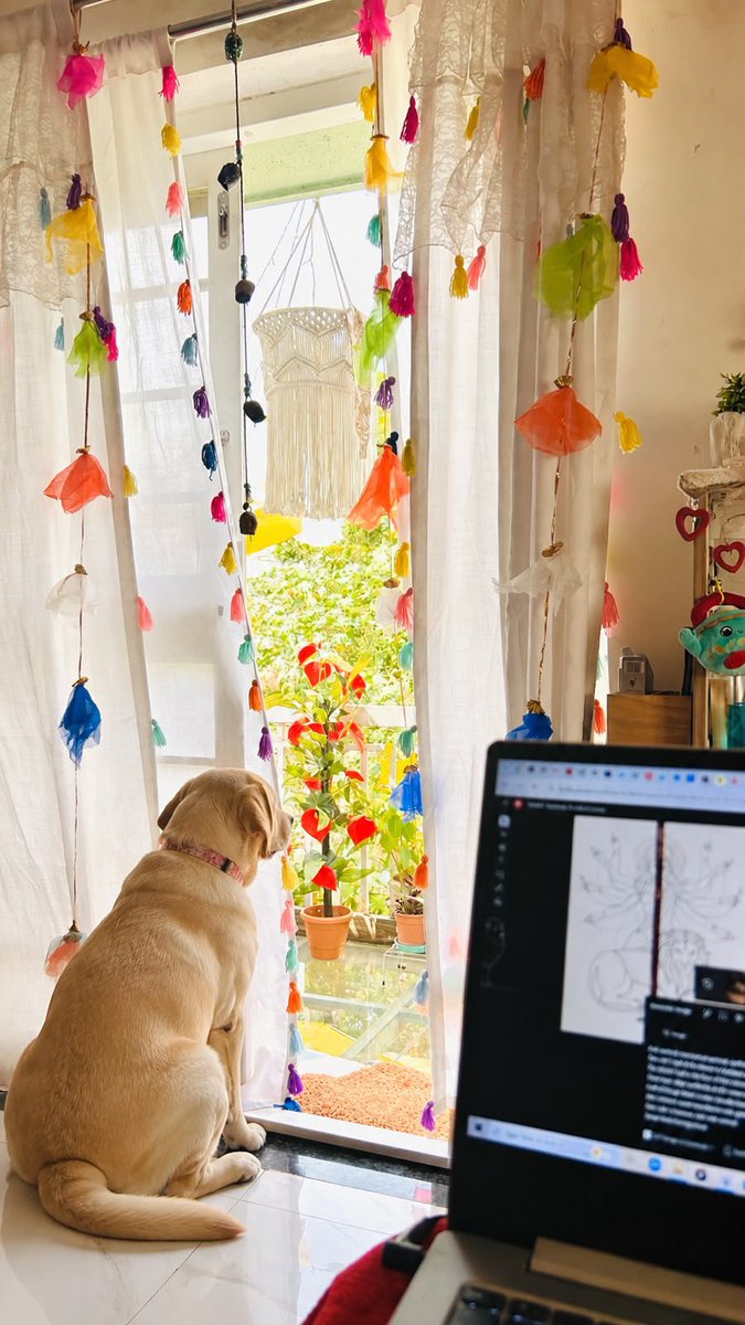 itsSSS1510's tweet photo. @icreatelife My cozy view🐶, work from bed 🤪😅 also my happy place with Cookie 😍 have a great day everyone everywhere 🫶 https://t.co/Ny1uU3r71V