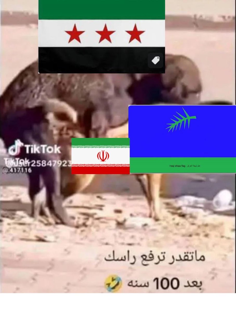 Rimon1969's tweet photo. @Pkh5O5whsgBomps @ALnajafi5050 كله من تلفيق الشيعة وعارً عن الصحة بس أنتم گحاب لازم يتزوجكم المعمم بعدها تروحون لازواجكم يا بنت ام حازم https://t.co/foRLxMOlgS