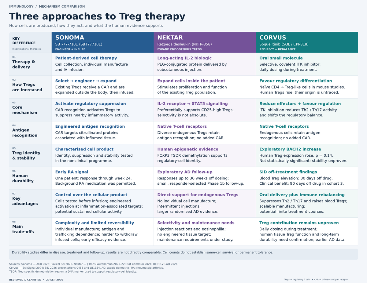 HOThomasWPhelps's tweet photo. #Tregs in Autoimmune, 3 Approaches:
🔹 Sonoma SBT-77-7101: engineer & infuse CAR Tregs
🔹 $NKTR #Rezpeg: expand existing Tregs w/ PEG-IL-2
🔹 $CRVS #soquelitinib: oral ITK inhibition reduces #Th2/#Th17 activity, increases Tregs
Different routes toward durable immune control https://t.co/2V4qHzhH4A