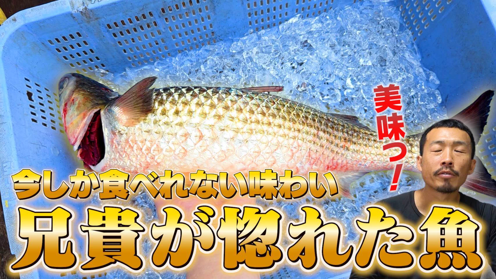へんな魚おじさん (@_Sakana_Ojisan) / X