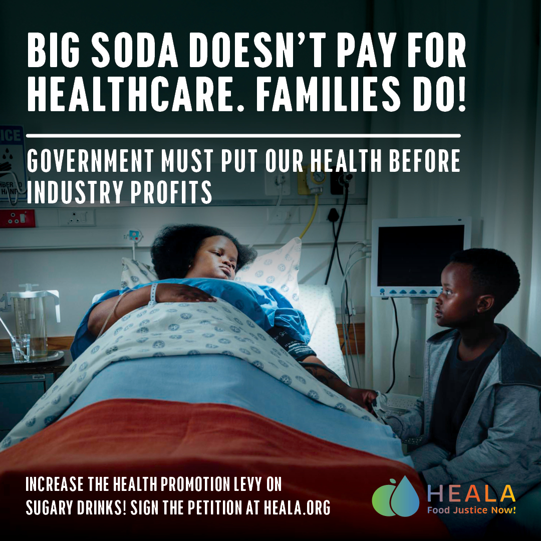 heala_SA's tweet photo. The Healthy Living Alliance (HEALA) is calling on government to increase the Health Promotion Levy (HPL) on sugary drinks to 20%. The evidence is clear: sugary drinks are harmful; SA’s Health Promotion Levy is helpful.

How many more lives must we lose?