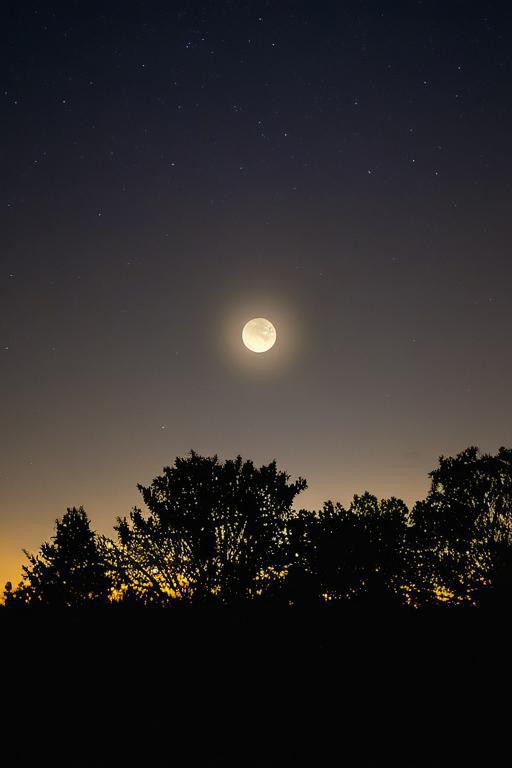 Jihooniepark9's tweet photo. Just hit the fresh, dry moon key—vibe check unlocked https://t.co/lDijkcUsBc