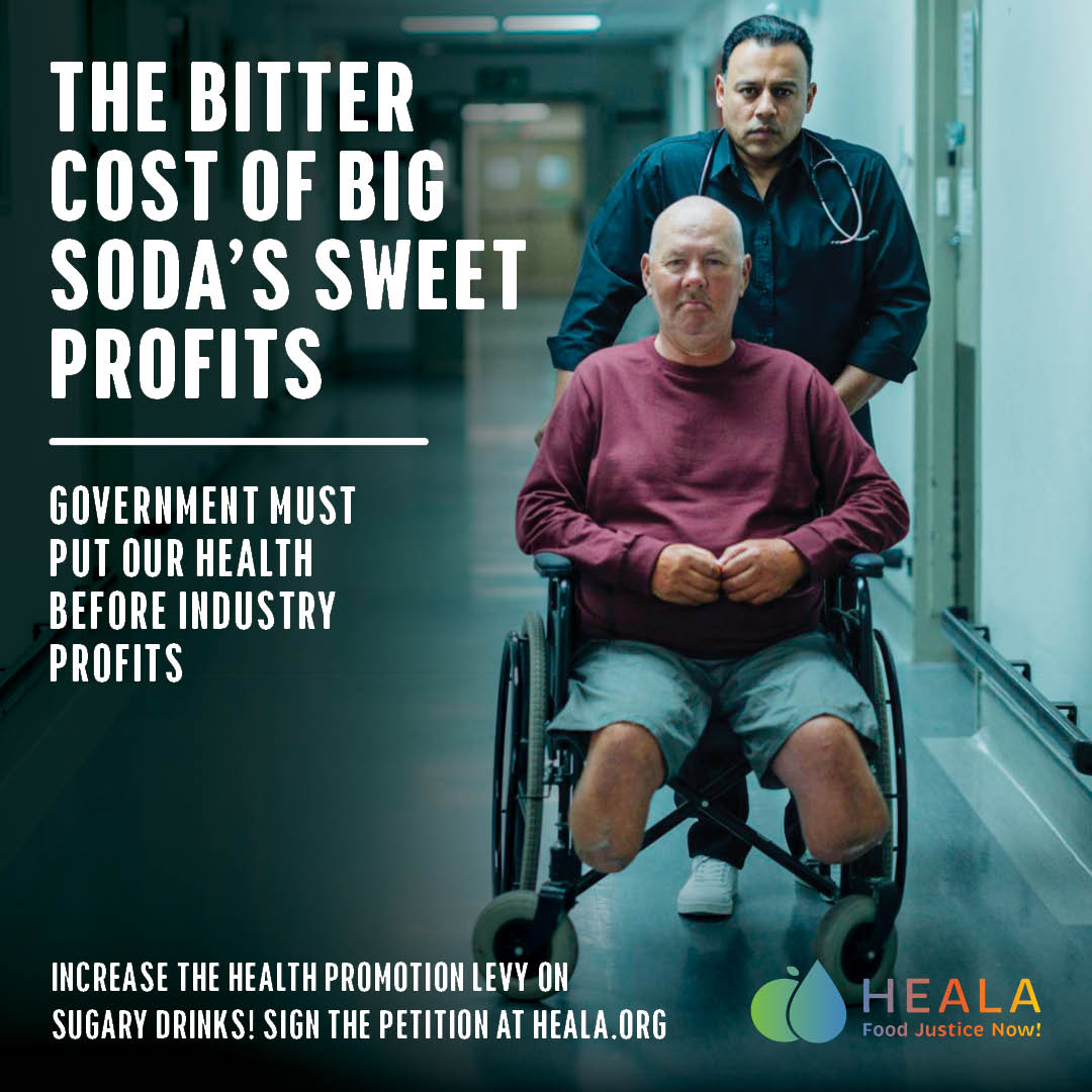 heala_SA's tweet photo. The Healthy Living Alliance (HEALA) is calling on government to increase the Health Promotion Levy (HPL) on sugary drinks to 20%. The evidence is clear: sugary drinks are harmful; SA’s Health Promotion Levy is helpful.

How many more lives must we lose?