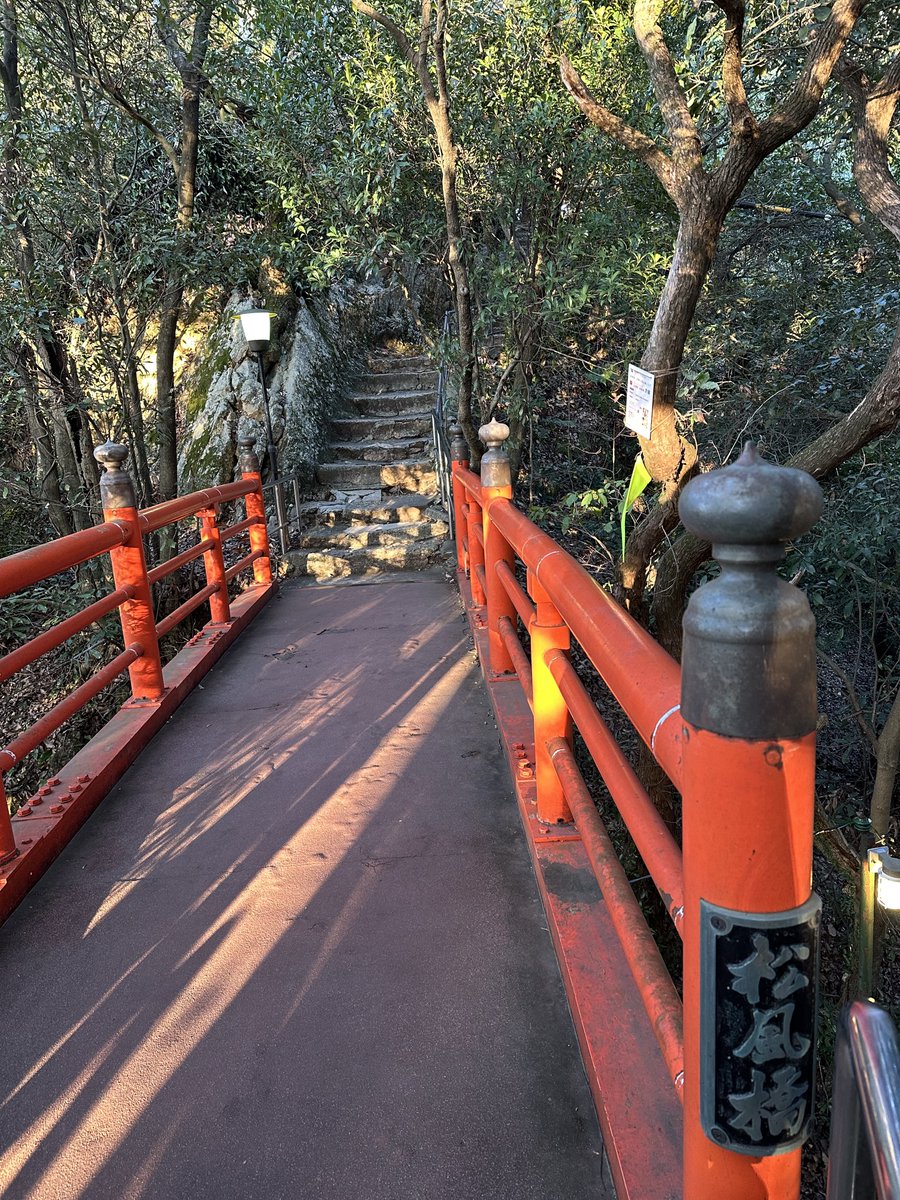 7pbayu's tweet photo. 日常ぽいのも📷 https://t.co/OTzVOEf2Rv