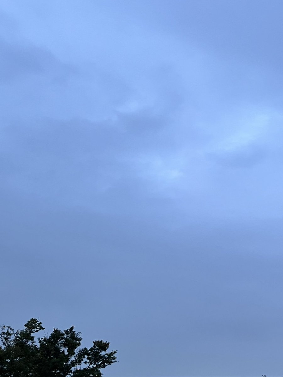 DeepBlueSky1126's tweet photo. #帰るよー( ⁎ᵕᴗᵕ⁎ )
現在の気温19.5℃
ちとさぶい…🥶
#いまそら
#空を見上げれば
#Good_location https://t.co/V9iGVaBdfV