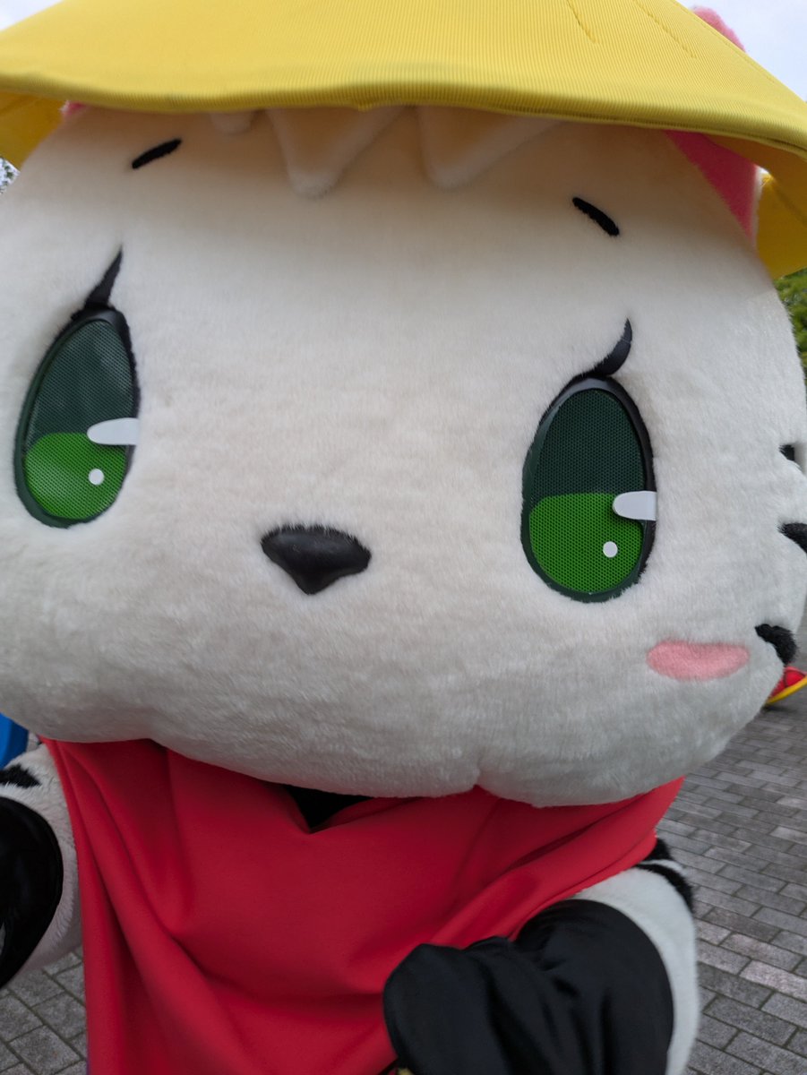 428Manma's tweet photo. ぐいぐい https://t.co/kcb6KpAbWl