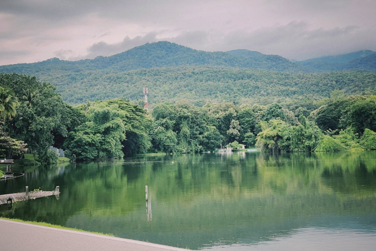 baipai75's tweet photo. good day#nature https://t.co/YOvJXnkRqB