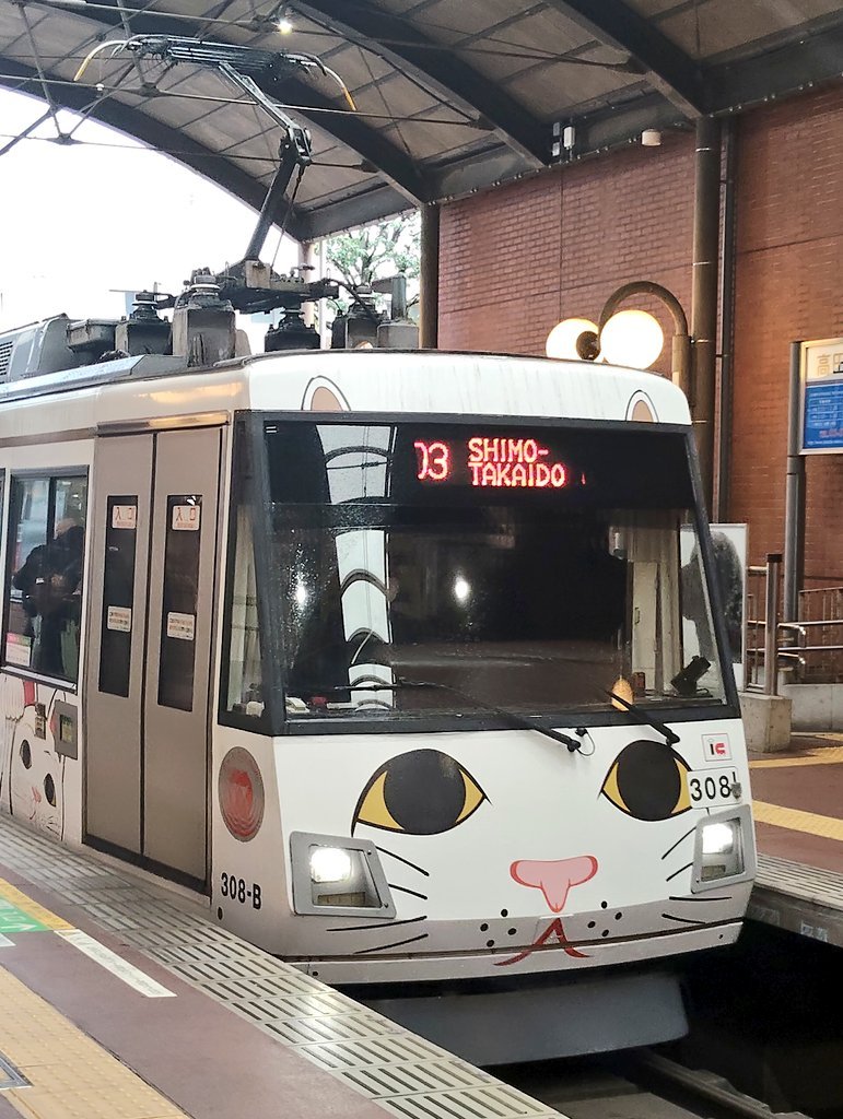 kotsu2_work's tweet photo. #招き猫の日
豪徳寺の招き猫さまたち。
今年の3月に小雨の中、参拝。
半円に並んでるの、めっちゃ好き。
招き猫車両にも乗れてラッキーだった。もう半年も前かー。早いな。 https://t.co/1UwylVjojG
