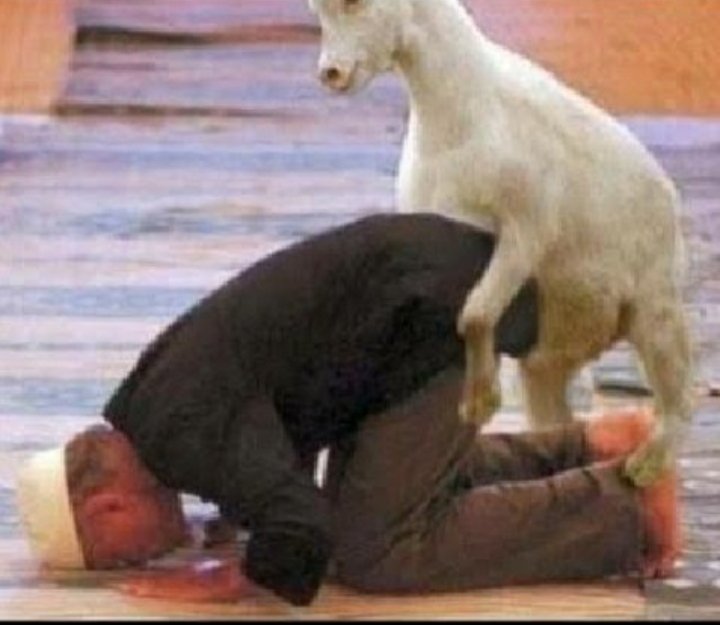 _TheMechanic__'s tweet photo. @heart_ISR His mother seems to be a goat https://t.co/vraXhUIQQZ