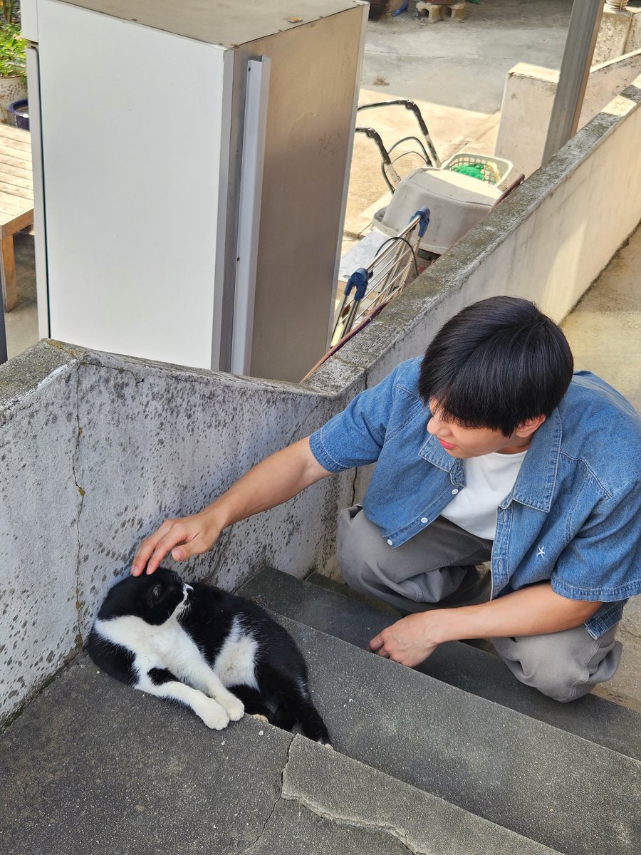 hang9__'s tweet photo. 개명한 냥순이와… https://t.co/8cx50BpjHr