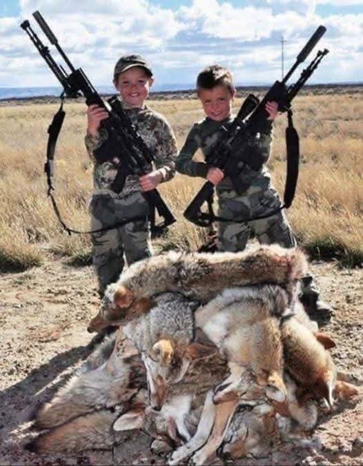 Joseph3Sengendo's tweet photo. Hunting is murder, please stop teach your children how to hunt innocent animals, hunting is a matter of animal abuse and whoever does it  is a criminal who deserves to serve a life sentence https://t.co/bNl0cwqOzH