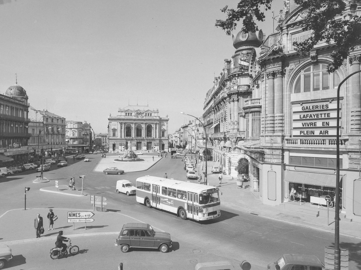ArchivesMtp34's tweet photo. #JeudiPhoto #JeudiArchives
📸 La place de la Comédie à @montpellier_ en 1974 avant les travaux de transformation en zone piétonne.
MO30 https://t.co/63l91xICUi