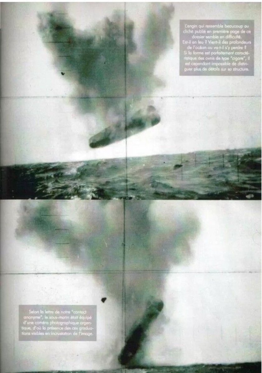 florescentleech's tweet photo. @walterkirn When they are perfect. Its a hoax. Sorry, targetting airships.😭😋 https://t.co/zHx0jGY80t
