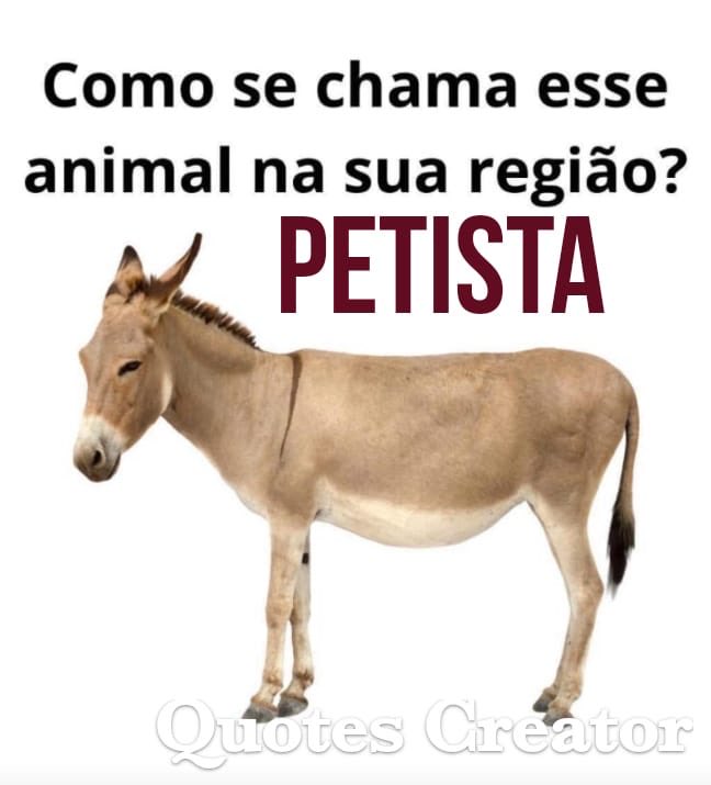 Revange_Cruz's tweet photo. @JuniorFaF0 @taoquei1 https://t.co/9ISbowDQqX
