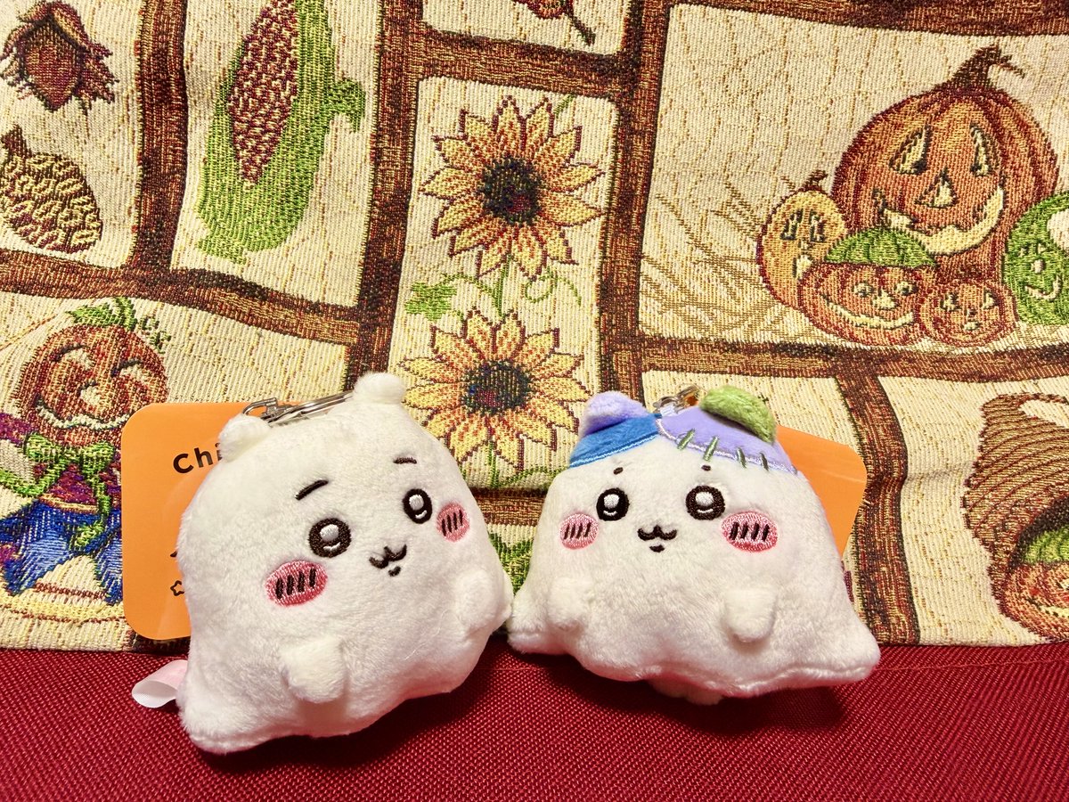 himallhima's tweet photo. #ちいかわパーク
13時の回行ってきた！ 
🎃グッズは欲しかったトートにちいハチマスコット、クッキー全部買えてよかったぁ〜〜！！！
ぺちゃ耳のハチを見つけちゃって即君に決めたしちゃった…
グリは愛しのちいちゃん���ハチ🫶
沢山のゲストが並んでたので2人には頑張ってねと声かけてきました😌 https://t.co/Zk4yb7Bnwt