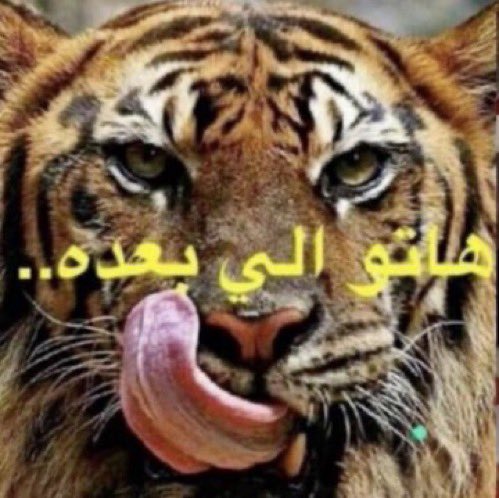 7ankii's tweet photo. @Alonexsa @TR_QQ2 @rx_rx60 @kh22i_ استخف فيك اي 

لان الموضوع اكبر منك عموما انتهى وقتك خلاص https://t.co/3JOueivCEP