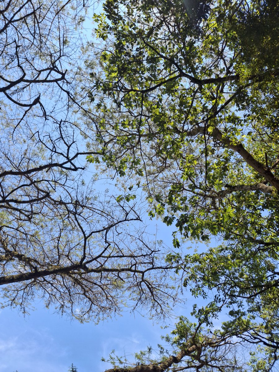 giddy_terer's tweet photo. Sky View🔆🌞 https://t.co/z3Vhhvw8SV