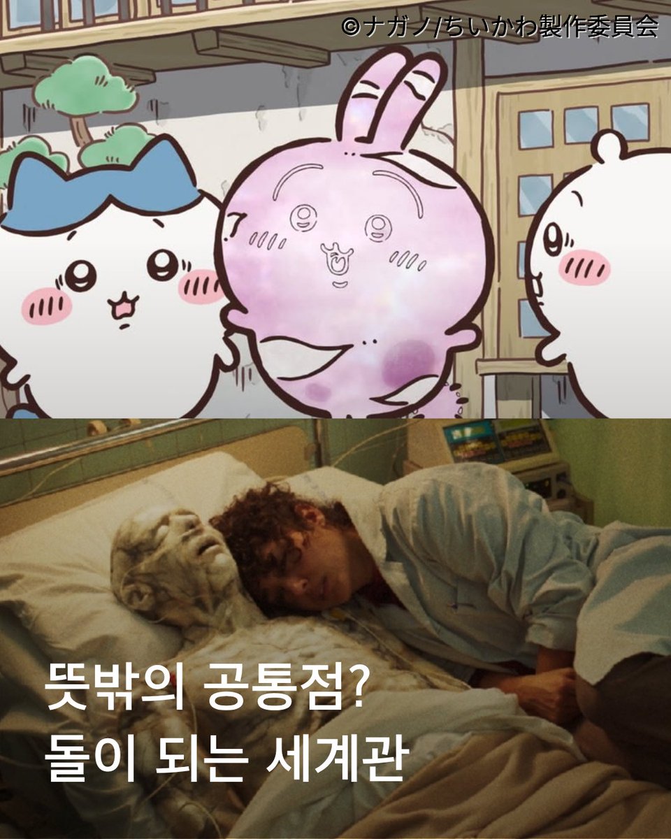challanfilm's tweet photo. <먼작귀> 시즌2에는 저주를 받은
우사기가 돌이 되는 장면이 등장하죠.

<알파>에서는 정체불명의 전염병으로
사람의 몸이 서서히 대리석처럼 굳어갑니다.

그리고 더 놀라운 공통점 하나.
문화의 날인 내일, <극장판 치이카와> & <알파> 대개봉!

작고 귀여운 <극장판 치이카와>와
강렬한 바디무비 <알파> 많관부!
(담당자는 우사기 최애입니다₍ᐢ. ̫.ᐢ₎)