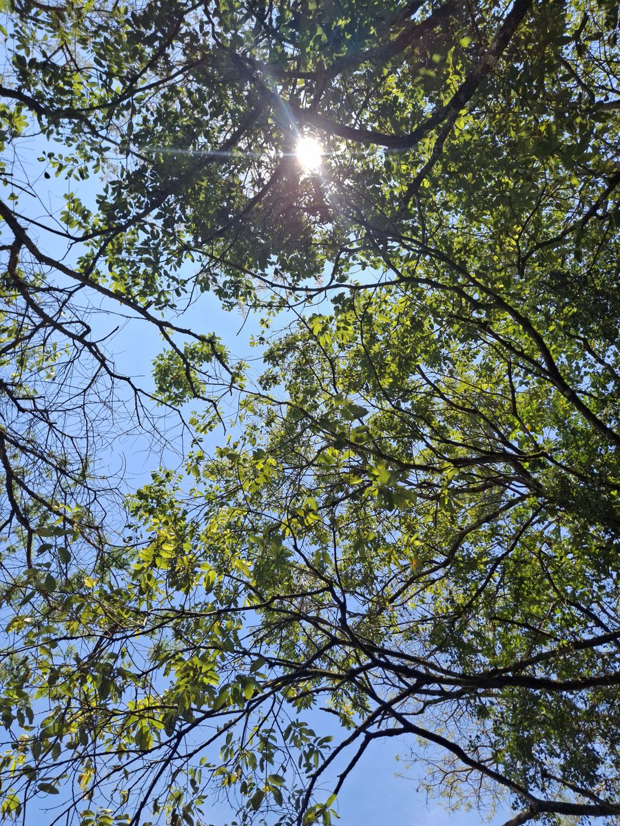 giddy_terer's tweet photo. Sky View🔆🌞 https://t.co/z3Vhhvw8SV