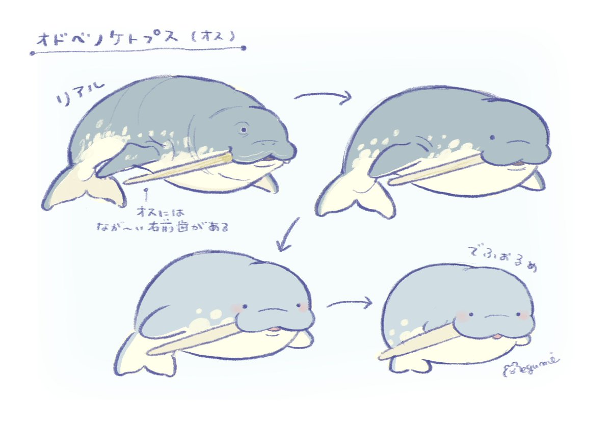 motitata's tweet photo. でふぉるめ
おどべのけとぷす https://t.co/iw8K8JIF8w