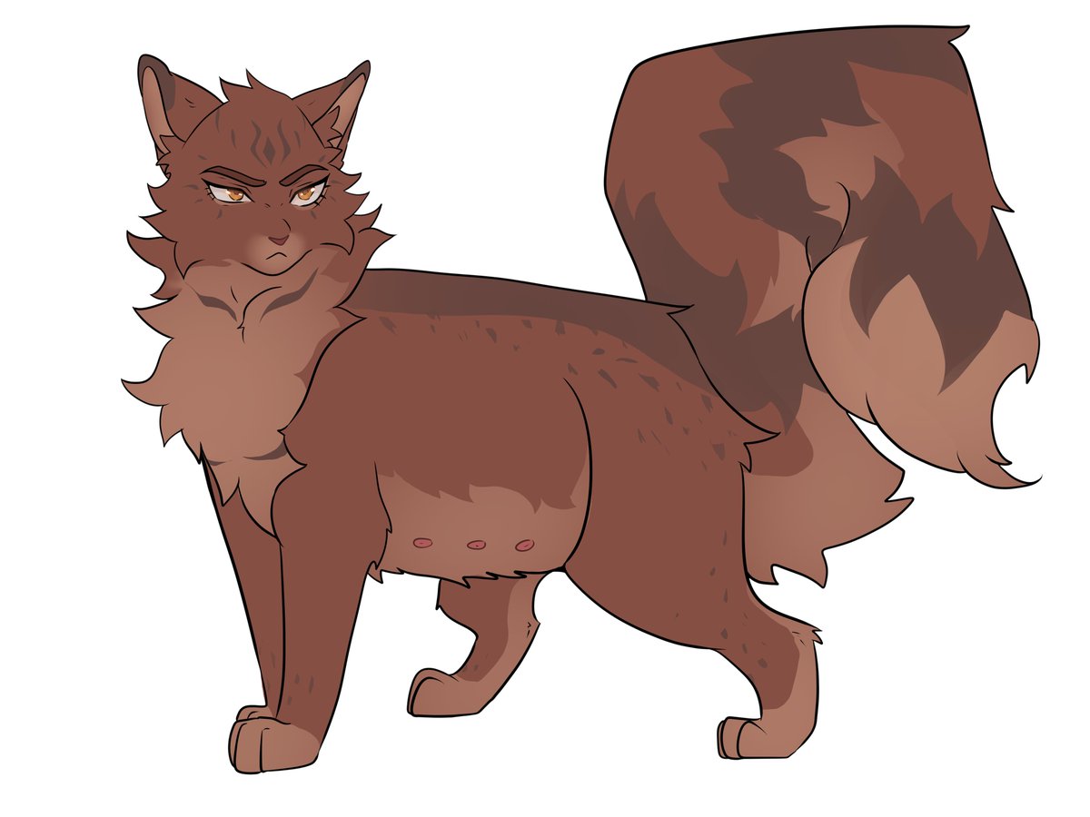murzim_star's tweet photo. Laurelheart (queen : having kitten) and Marrow (the strange loner) https://t.co/GCpMQUz4pm