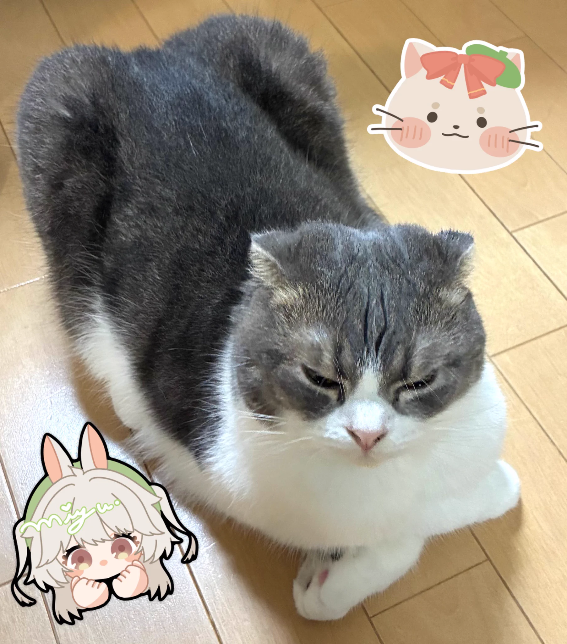 むつきねこ 如月セツ🐰❄️@大体週2ゲーム配信Vtuber on X: 