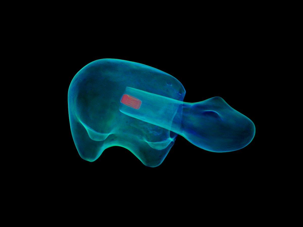 XRayCT tweet picture