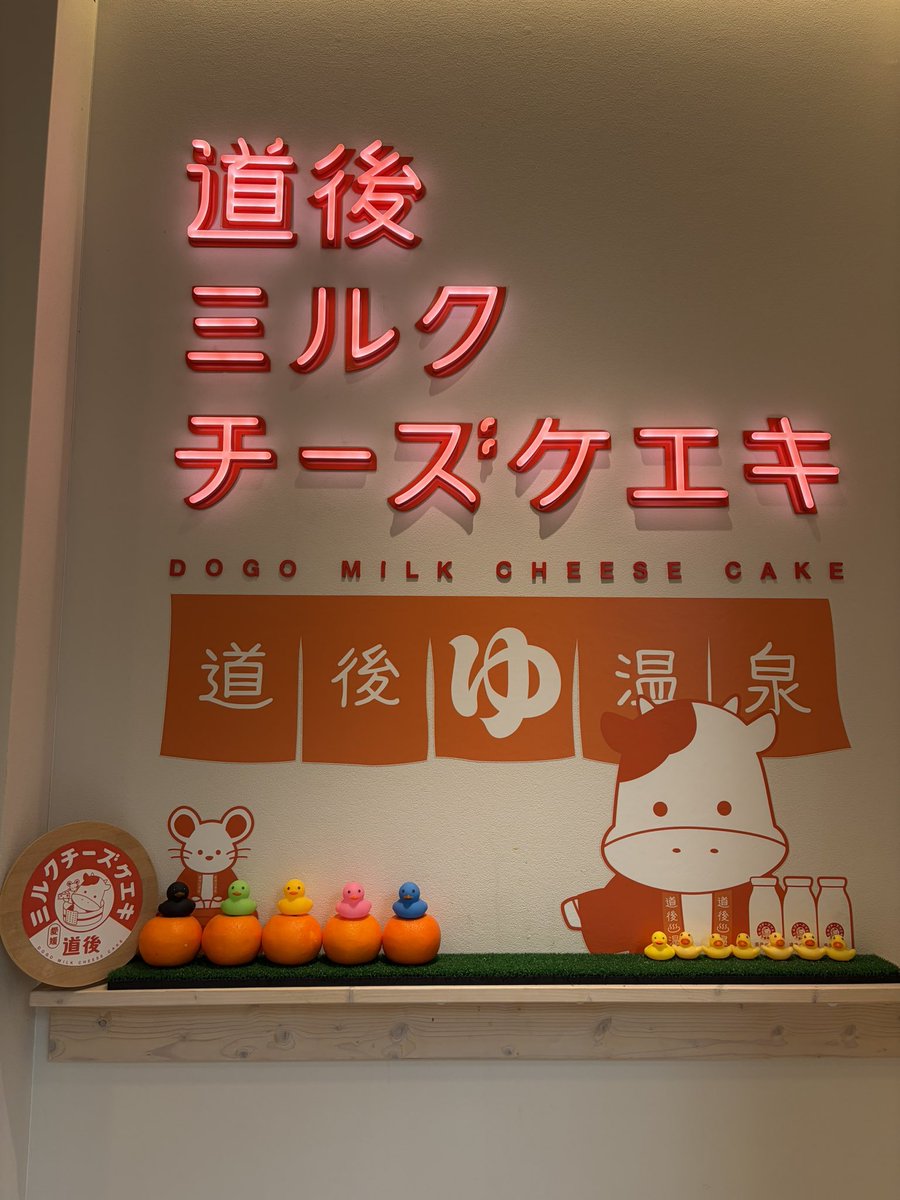 aco_7705's tweet photo. 愛媛で頼んでたチーズケエキが届いたー🧡お店ではみかんソフト食べたんだけど他にも食べたいやつあったが時間が無くて食べれず‥🍊今度行く機会があれば食べたいなぁ〜！ https://t.co/oXU34lYfr8