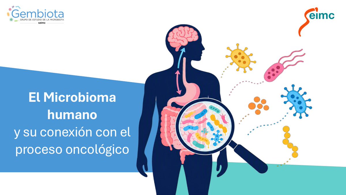 SEIMC_'s tweet photo. 📢Actividad formativa @GEMBIOTA_SEIMC, webinar "El Microbioma humano y su conexión con el proceso oncológico":

📅13 de octubre de 2026
⏰16:00h – 18:00h (España, horario peninsular)
📍Campus @SEIMC_  

📚📝Programa/inscripción👇
https://t.co/JEh9k83abT https://t.co/5qXbrJEtdT