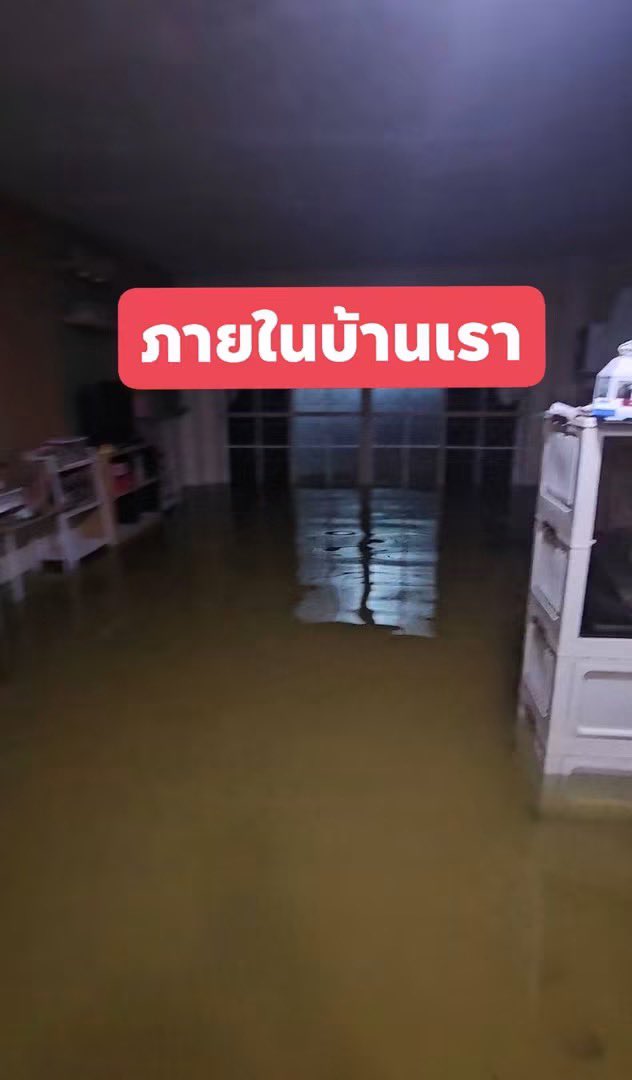 malimalineee's tweet photo. ช่วยแชร์ทีค่ะ เสียงเราคนเดียวไม่ดังพอ.... !!

🚨 ขอความช่วยเหลือเร่งด่วนจากหน่วยงานที่เกี่ยวข้องค่ะ
หมู่บ้านอู่ทองเพลส โครงการ 2 ลำลูกกา จ.ปทุมธานี
ขณะนี้น้ำท่วมภายในหมู่บ้านเข้าสู่ตัวบ้านของประชาชนหลายหลัง และท่วมสูงต่อเนื่องมาเป็นวันที่ 3 แล้วค่ะ

แม้ว่าบริเวณหน้าหมู่บ้านระดับน้ำจะเริ่มลดลง แต่ บริเวณท้ายหมู่บ้านยังไม่ลดลงเลยตั้งแต่วันแรก และขณะนี้น้ำเริ่มเน่าเสีย ส่งผลกระทบต่อสุขอนามัยและการใช้ชีวิตของคนในชุมชนอย่างมาก

❗️ห้องน้ำของหลายบ้านไม่สามารถใช้งานได้
❗️น้ำเริ่มเน่าและมีความกังวลเรื่องสุขอนามัยและสุขภาพของประชาชน
❗️น้ำยังไม่มีแนวโน้มลดลงในบริเวณท้ายหมู่บ้าน
❗️ประชาชนจำนวนมากยังไม่สามารถกลับมาใช้ชีวิตตามปกติได้

ที่ผ่านมา มีหน่วยงานเข้ามาช่วยเหลือเรื่องอาหาร ซึ่งพวกเราขอขอบคุณมากค่ะ แต่ สิ่งที่ชาวบ้านต้องการเร่งด่วนในตอนนี้ คือการแก้ไขปัญหาน้ำท่วมและการระบายน้ำออกจากพื้นที่
ขณะเดียวกัน ประธานหมู่บ้านแจ้งว่าจะมีการ ปิดเครื่องสูบน้ำเนื่องจากค่าไฟฟ้า แต่ประชาชนในหมู่บ้านจำนวนมากไม่เห็นด้วย เพราะขณะนี้น้ำยังท่วมอยู่และยังไม่สามารถแก้ไขปัญหาได้

ล่าสุดชาวบ้านหลายหลัง พร้อมที่จะรวมตัวกันทำแนวกั้นน้ำ/ฝายชั่วคราว และช่วยกันสูบน้ำออกจากบริเวณบ้านที่จมน้ำ เพื่อบรรเทาความเดือดร้อนให้กันเอง

แต่ปัญหาคือพวกเรา ไม่มีอุปกรณ์และวัสดุที่จำเป็น เช่น
- เครื่องสูบน้ำ / เครื่องสูบน้ำขนาดใหญ่
- กระสอบทราย
- ทราย
- อุปกรณ์สำหรับทำแนวกั้นน้ำ
- รถสำหรับขนทรายและกระสอบทราย
- อุปกรณ์อื่น ๆ ที่จำเป็นสำหรับการระบายน้ำ
- ชาวบ้านพร้อมลงมือช่วยกันเองค่ะ แต่เราไม่มีทั้งกำลัง อุปกรณ์ และทรัพยากรเพียงพอ

จึงอยากขอความช่วยเหลือจาก หน่วยงานราชการ อบต./เทศบาล ปภ. หน่วยกู้ภัย องค์กรหรือภาคเอกชน รวมถึงผู้ที่มีเครื่องสูบน้ำ รถขนทราย หรืออุปกรณ์ที่สามารถเข้ามาช่วยเหลือได้

พวกเราไม่ได้ต้องการเพียงการแจกอาหารค่ะ

ตอนนี้สิ่งที่จำเป็นที่สุดคือการทำให้น้ำลดลง และช่วยให้ประชาชนสามารถกลับมาใช้ห้องน้ำและใช้ชีวิตภายในบ้านได้อย่างปลอดภัย
ชาวบ้านหลายครอบครัวกำลังเดือดร้อนอย่างมาก และทุกคนก็พยายามช่วยเหลือกันเองเต็มที่แล้ว แต่หากยังไม่มีอุปกรณ์และการสนับสนุนที่เพียงพอ เกรงว่าสถานการณ์จะกระทบต่อสุขอนามัยและสุขภาพของคนในชุมชนมากขึ้
น

🙏 ขอความกรุณาหน่วยงานหรือผู้ที่สามารถช่วยเหลือได้ เข้ามาดูพื้นที่จริงและช่วยดำเนินการเรื่องการสูบน้ำและการทำแนวกั้นน้ำโดยเร็วที่สุดค่ะ

📍 สถานที่: หมู่บ้านอู่ทองเพลส โครงการ 2 อำเภอลำลูกกา จังหวัดปทุมธานี

💧 บริเวณที่ได้รับผลกระทบหนัก: ช่วงท้ายหมู่บ้าน
พวกเราพร้อมช่วยกันลงแรงค่ะ ขอเพียงมีอุปกรณ์และกำลังสนับสนุนให้พวกเราได้ลงมือแก้ปัญหาไปด้วยกัน

#น้ำท่วมลำลูกกา
#น้ำท่วมปทุมธานี
#อู่ทองเพลสโครงการ2
#ลำลูกกา
#ขอความช่วยเหลือ
#น้ำท่วม
#ช่วยเหลือผู้ประสบภัย