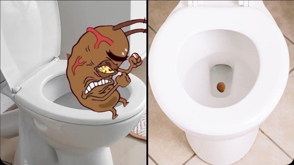 gloccnim's tweet photo. u ever be on the toilet fighting for yo life jus for this to come out https://t.co/xcCDe4Q0CT