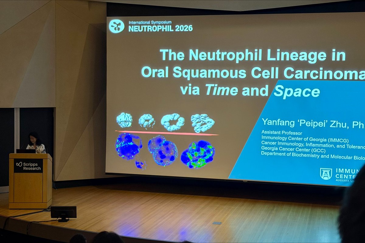 ImmunologyAU's tweet photo. Last week, Lynn Hedrick (@TheHedrickLab), Klaus Ley, Peipei Zhu (@ZhuPeipei), Gabriel Valentín Guillama (@GabValGui), and Austin Lowery represented IMMCG, @MCG_AUG, and @AUG_University at the #Neutrophil2026 International Symposium in San Diego.

#Immunology #ImmunologyResearch https://t.co/Tgb7PT54z8