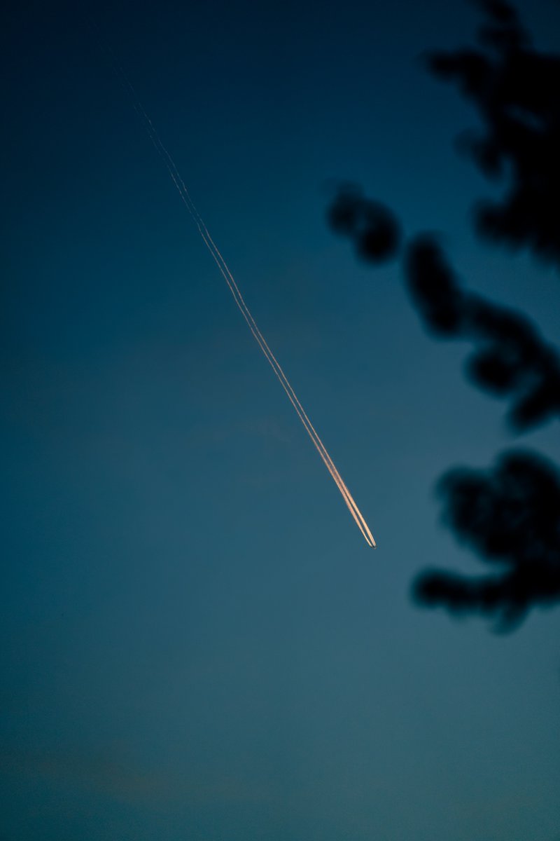asuka_photo30 tweet picture