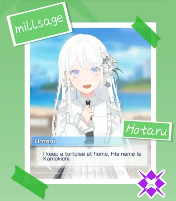 myrthre's tweet photo. i think we as a community have moved on too quickly from the fact that hotaru has a pet tortoise ☹️☹️ she just loves tamago boro cookies and kamekichi she doesnt deserve all this pain </3 https://t.co/LKOqRCaca9