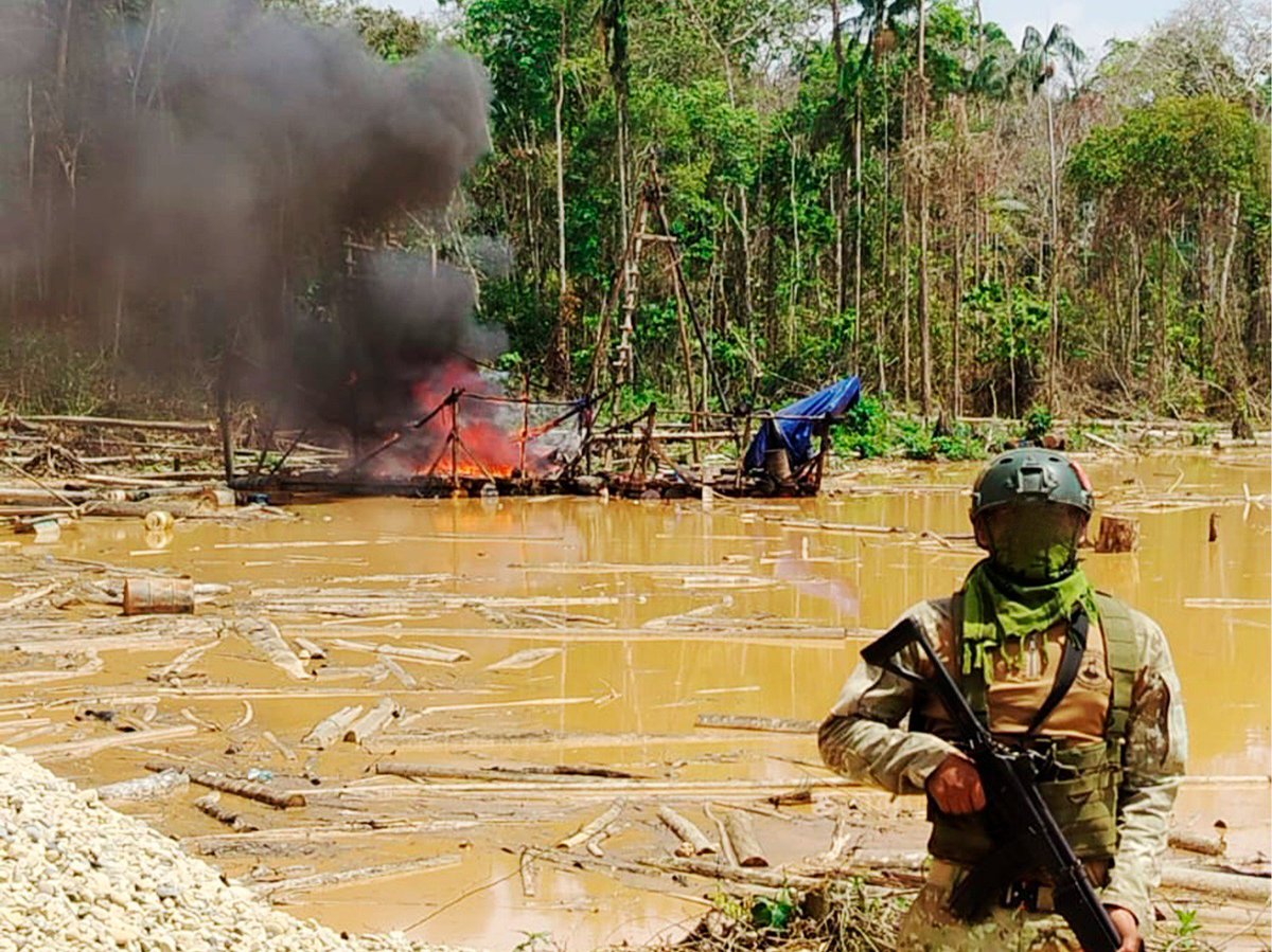 CCFFAA_PERU's tweet photo. #MadredeDios l Nuestro Comando Operacional del Sur y la @PoliciaPeru ocasionaron pérdidas de más de S/34 millones a la minería ilegal, tras ejecutar una operación de interdicción en Inambari. 1/2
#OperacionesMilitaresCCFFAA https://t.co/ZHx7WQtIMK