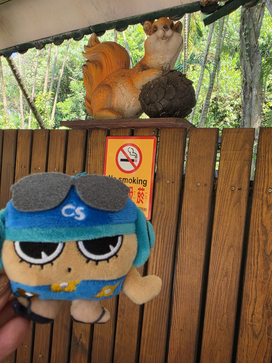 aibanoriko's tweet photo. スマホ変えたばかりだったので動物園でカメラテストしてた。
レッサーパンダみれなかったのでいつかリベンジしたい。 https://t.co/Ie202S8Auh