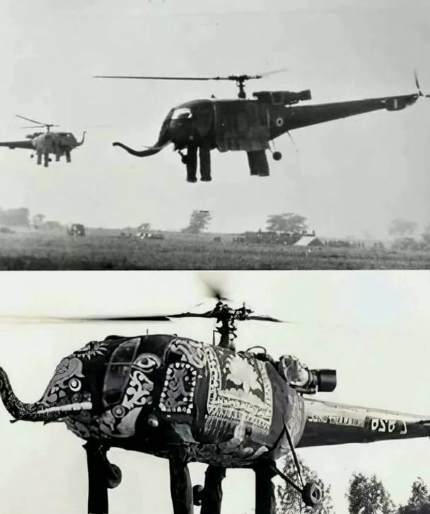 beckertrudc4's tweet photo. India used these elephant-shaped helicopters for ceremonial purposes in the 1970’s
#WildAnimals #Mines https://t.co/9OljXkBsv0