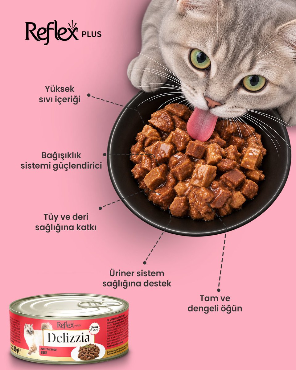 reflexplustr's tweet photo. Patili dostlarımıza özel bir lezzet deneyimi sunan sos içinde parça etli dana Reflex Plus Delizzia; sindirimi kolay, tam ve dengeli bir öğün sunar. ��çeriği güven verir, lezzeti iştah açar. https://t.co/fvZRso7m5B