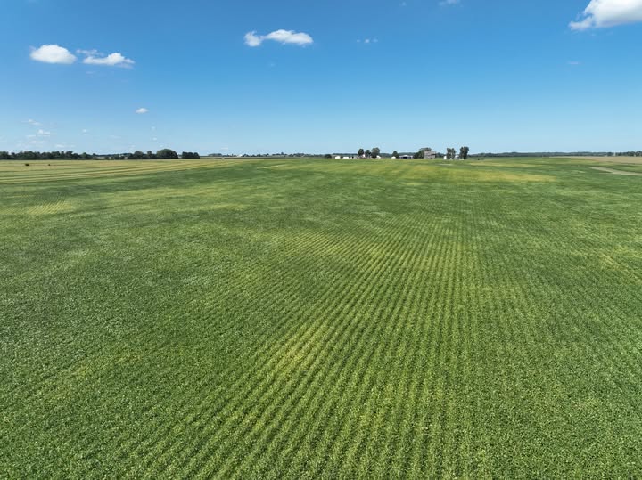 MGWLand's tweet photo. NEW LISTING
The Sleepy Hollow Farm, DeKalb County, Illinois
• Productive cropland
• CRP income
• Recreational opportunities
• In close proximity to US-30 &amp; Shabbona, IL

View listing here: https://t.co/zT8CKEuUqD
For a detailed brochure: https://t.co/LNm8lJHKB8 https://t.co/KbEDOrmo5t