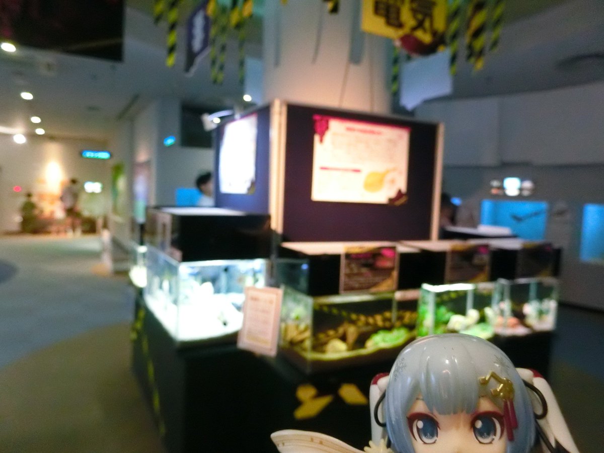 mabo2dayo's tweet photo. ｢ほんでこちらにも～♪｣
…はいな https://t.co/lExIKZXhM1