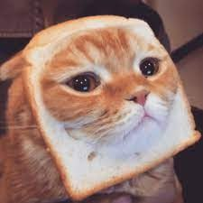 INBREDCATONSOL's tweet photo. https://t.co/DlunAEdnid