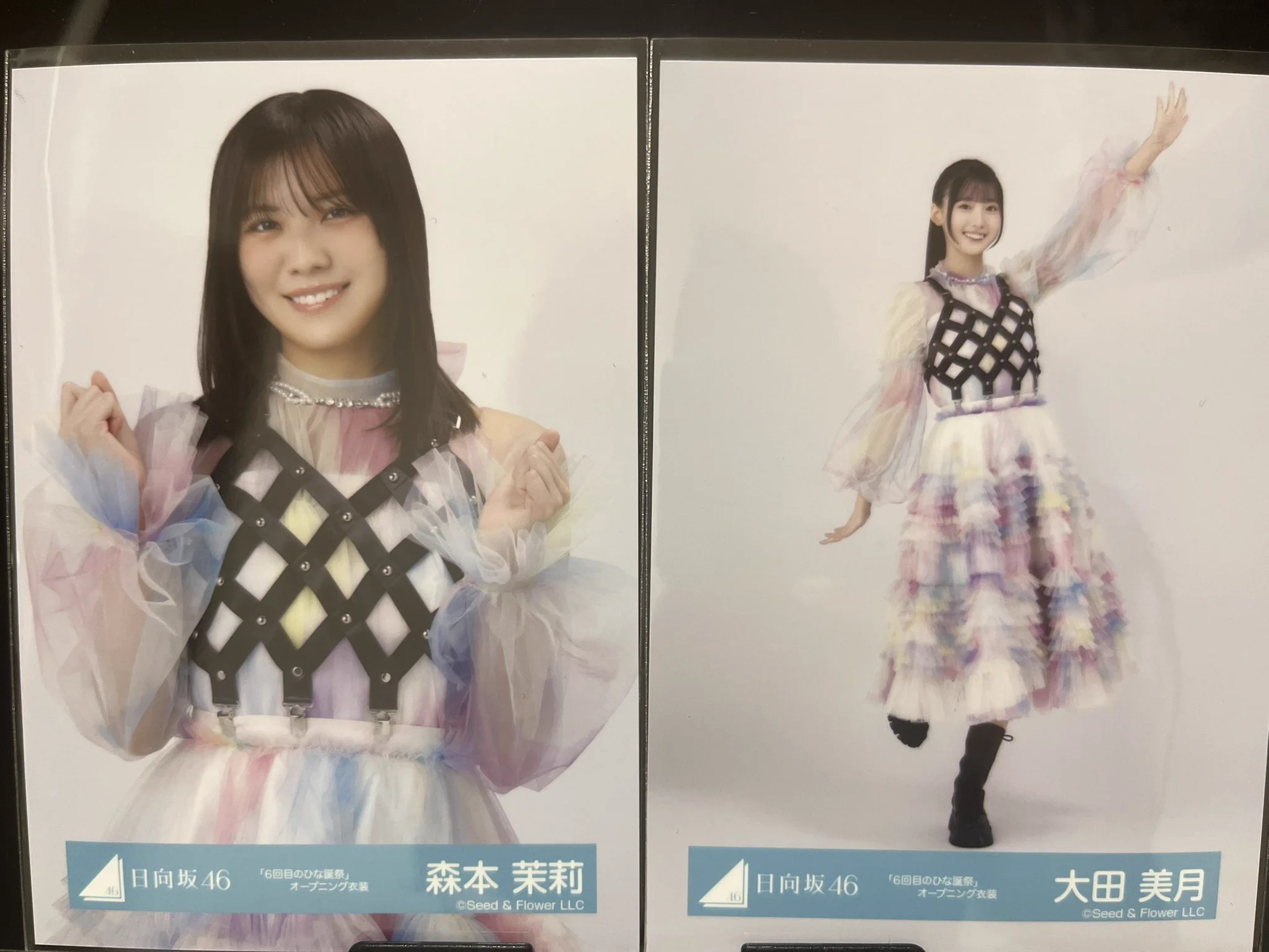 髙橋未来虹 日向坂46 浴衣 ロゴT 夏フェス ひな誕祭 生写真 16種コンプ ひとで⊿おひさま on X: 